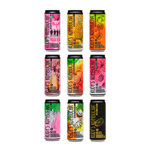 Tasting Set (9x330ml) - Rudy's Kombucha