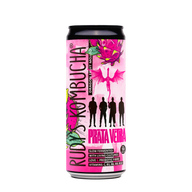 Prāta Vētra X Rudy's collaboration - Dragon Fruit Mojito (9x330ml) - Rudy's Kombucha