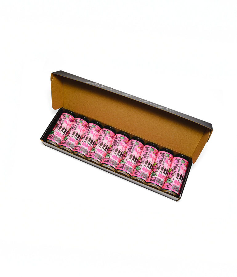 Prāta Vētra X Rudy's collaboration - Dragon Fruit Mojito (9x330ml)