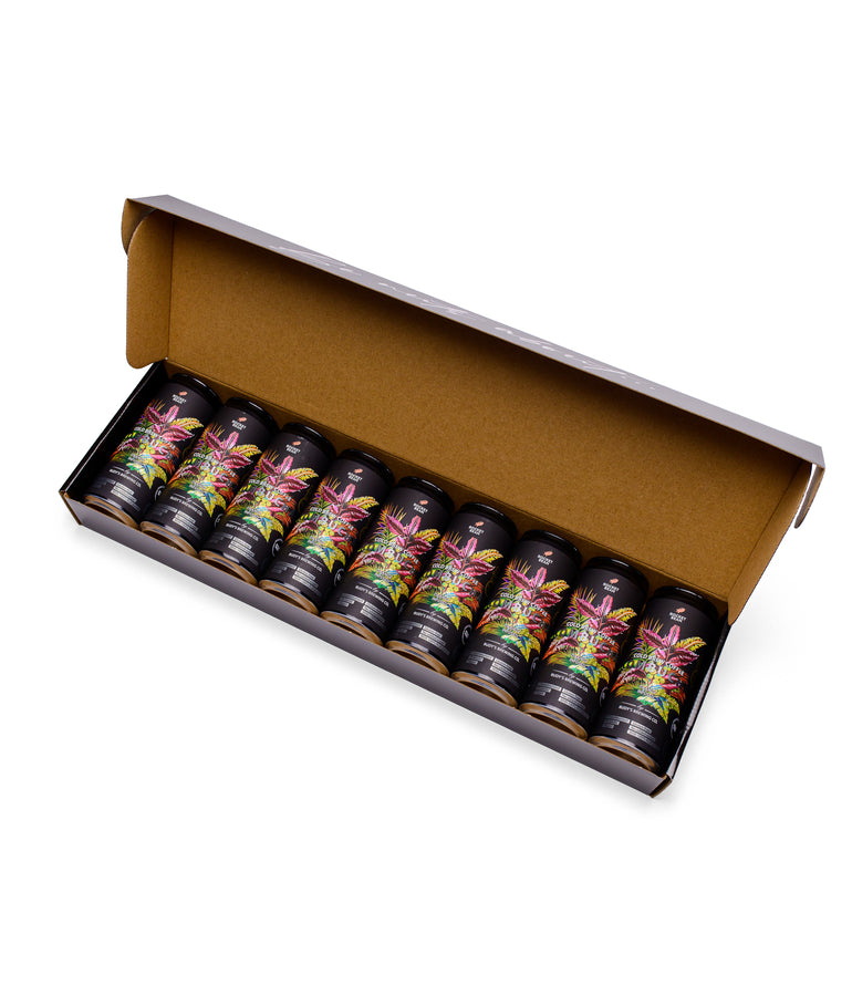 Šaltas kavos gėrimas su apelsinu (9x330 ml)
